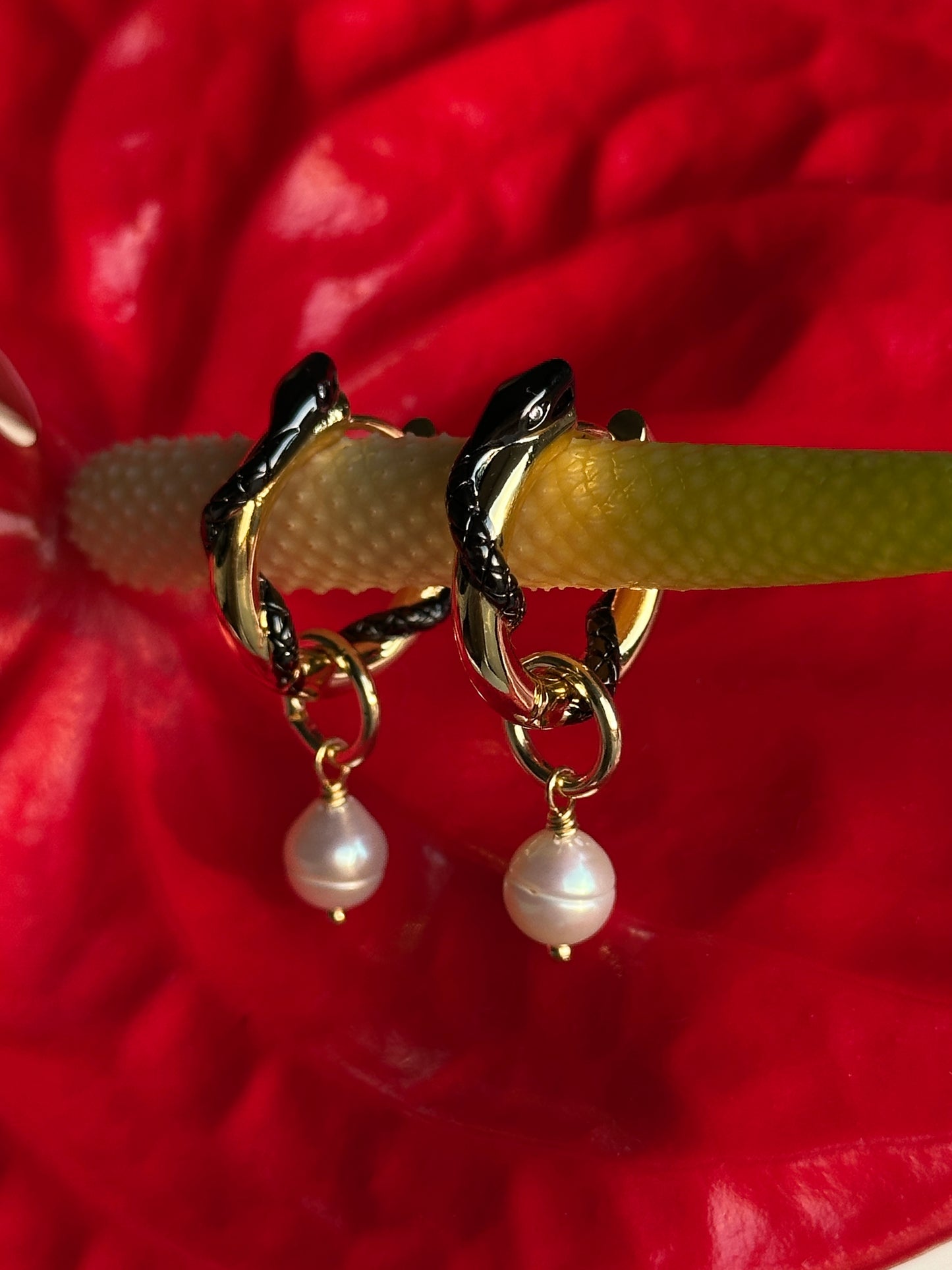 SPICY MAMBA earrings