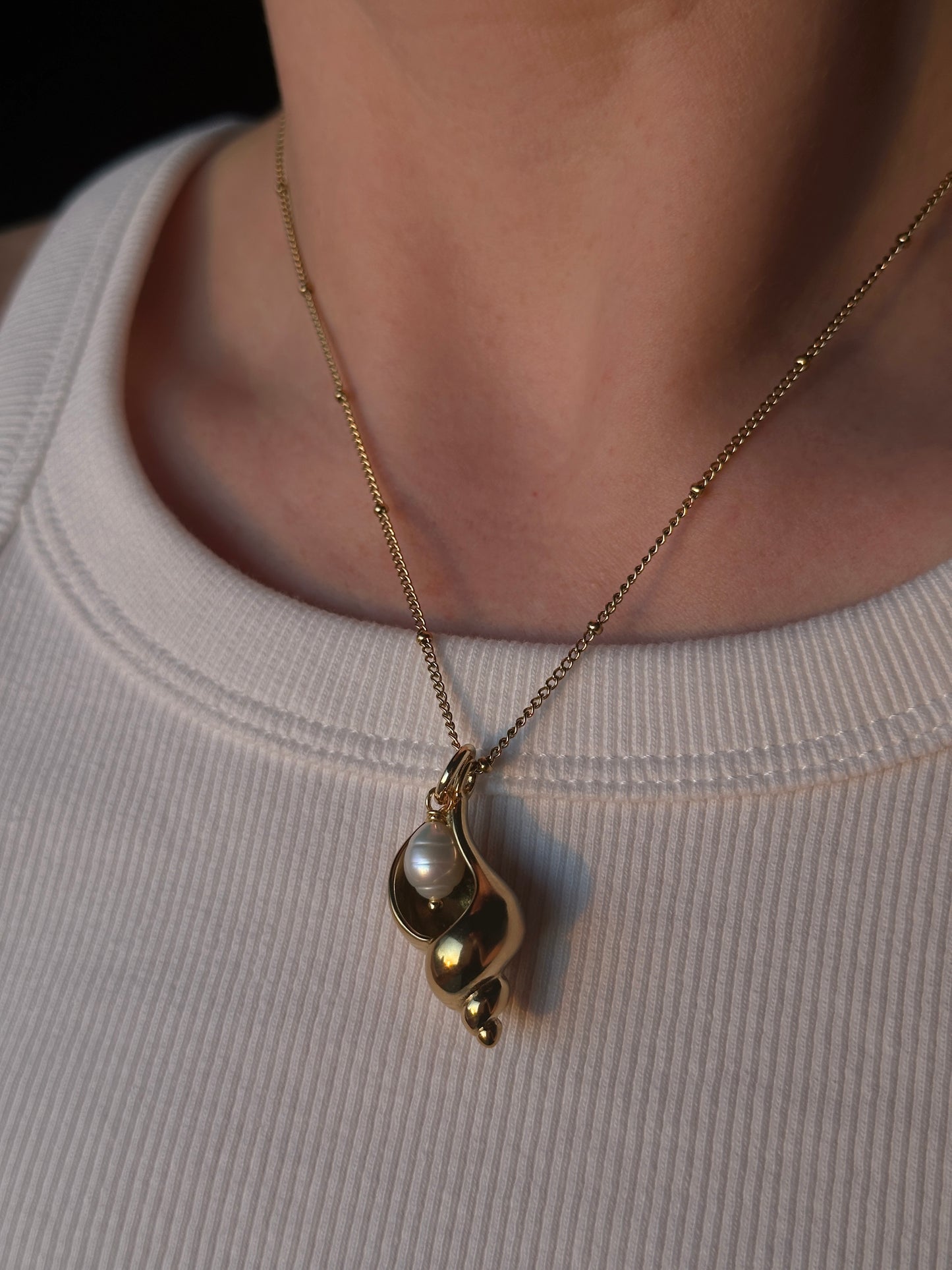 NASSA necklace