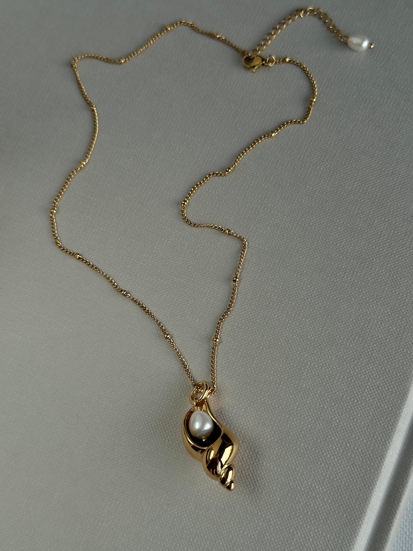 NASSA necklace
