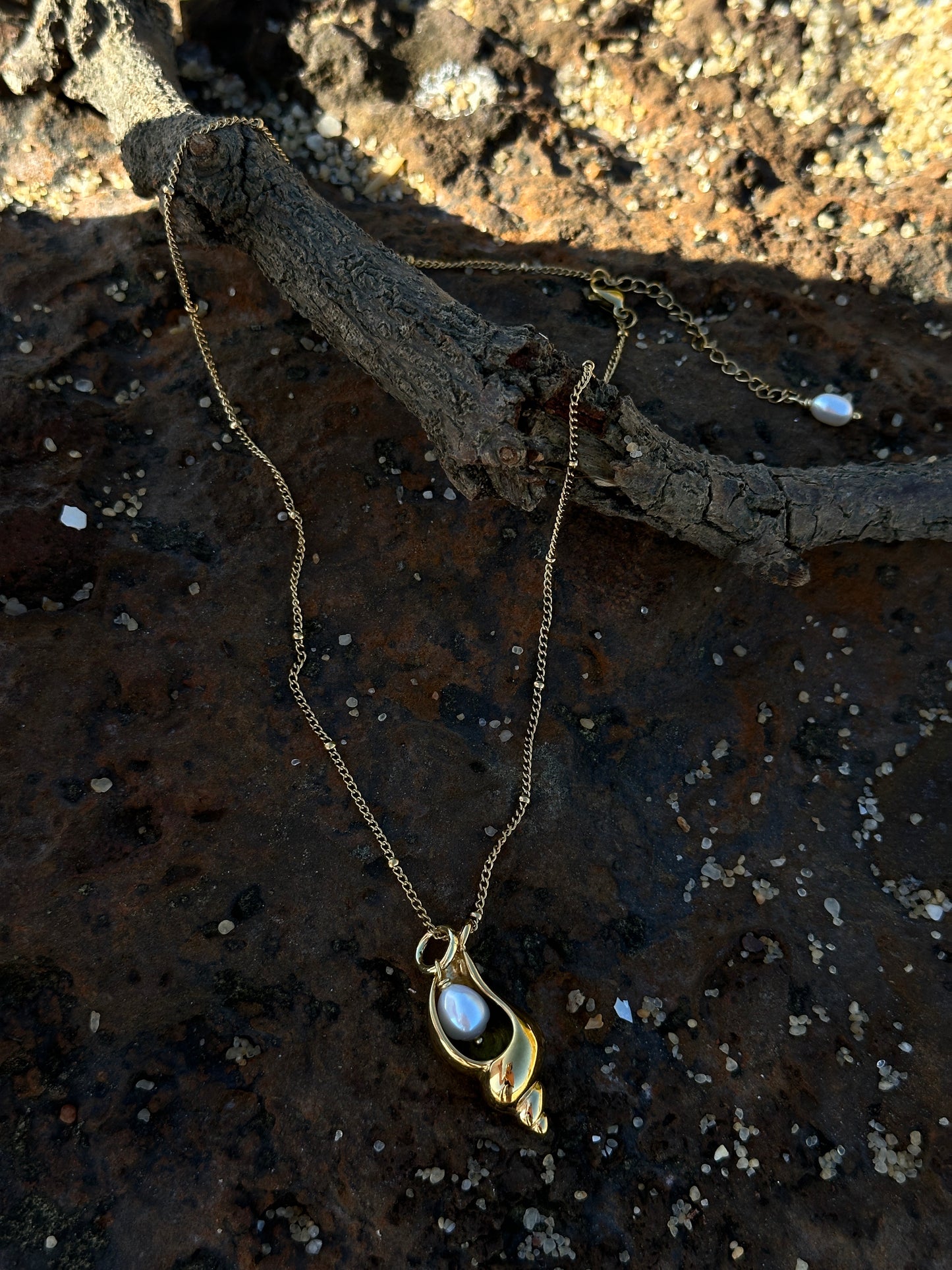 NASSA necklace