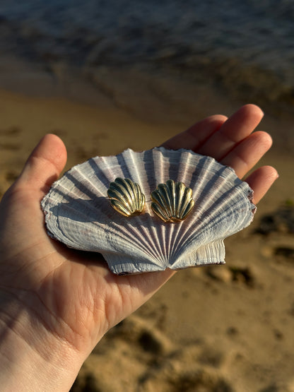 SCALLOPIA earrings