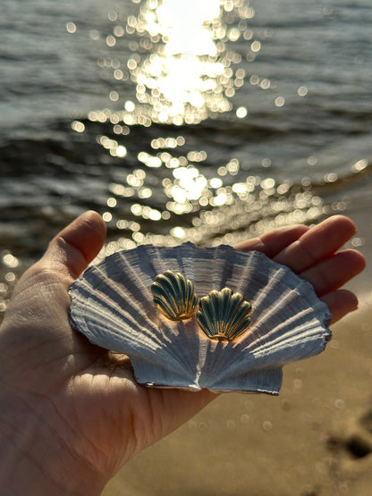 SCALLOPIA earrings