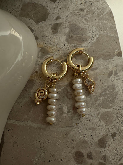 SEA SHELLS earrings