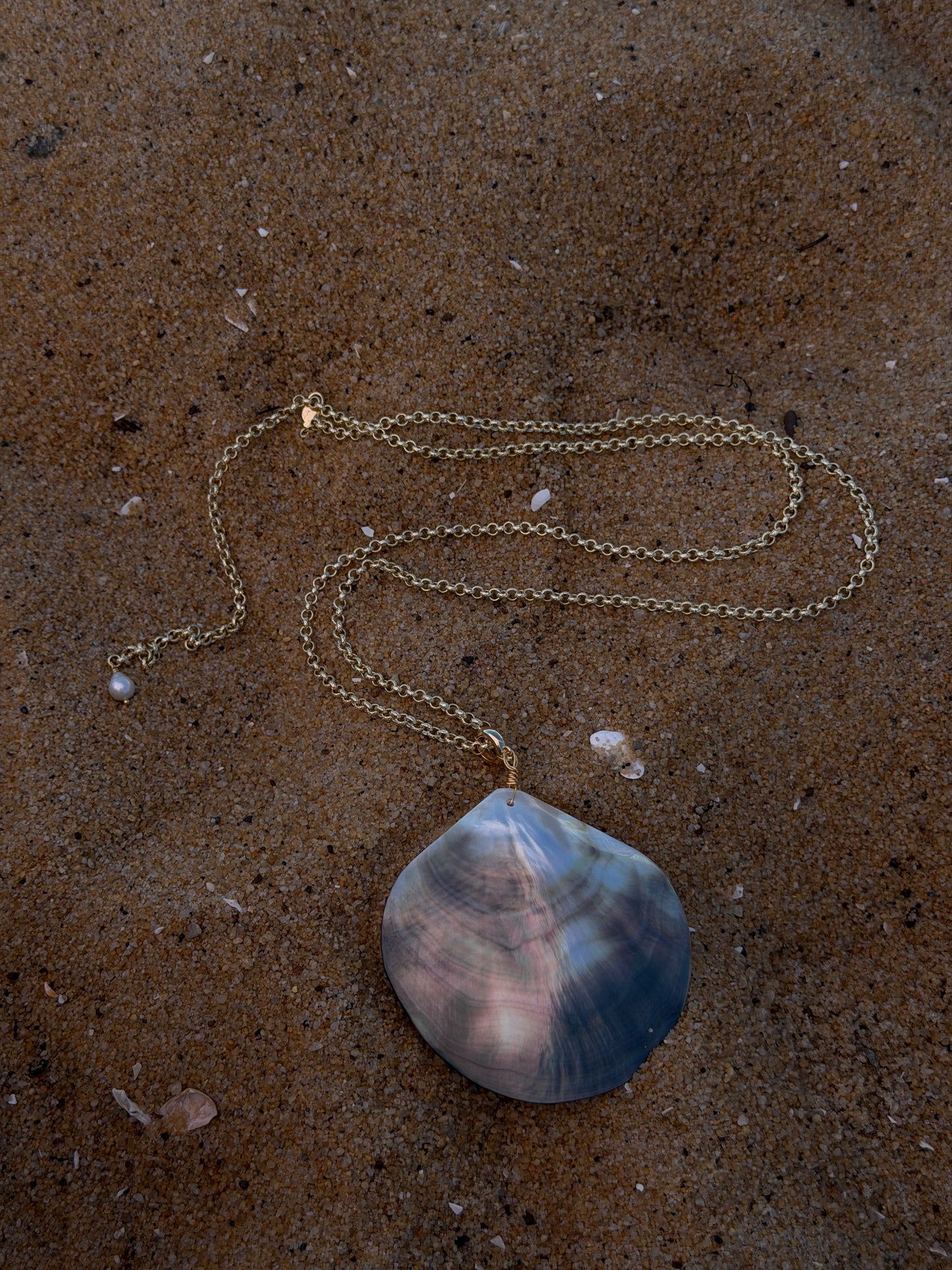SIREN SHELL necklace