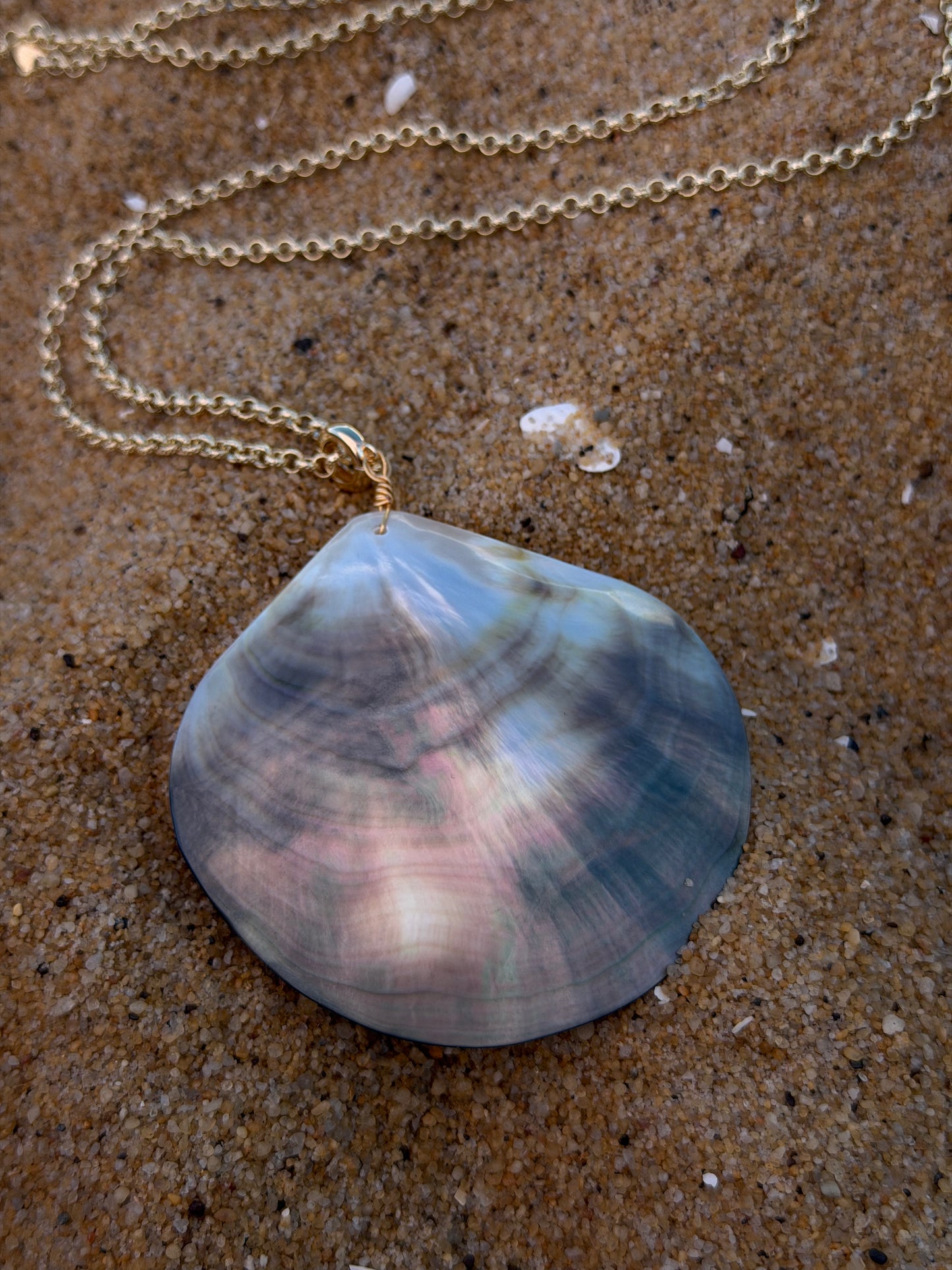SIREN SHELL necklace